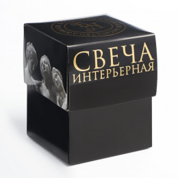 Свеча декоративная «Ракушка», 4×9×6.5 см, фиолетовый, в коробке