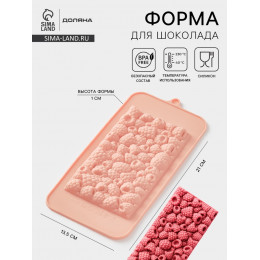 Форма для шоколада Доляна «Малина», 21×10×1 см, силикон, бежевая