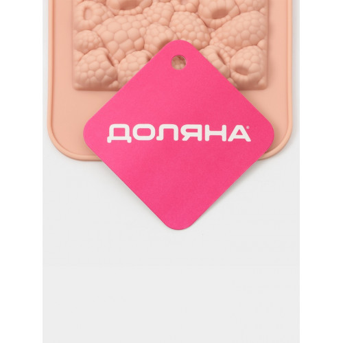 Форма для шоколада Доляна «Малина», 21×10×1 см, силикон, бежевая Доляна