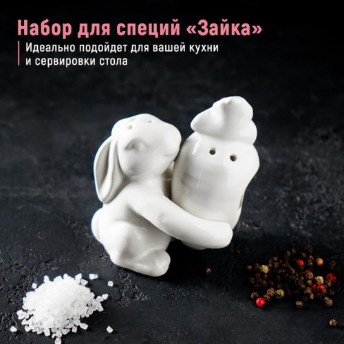 Набор для специй Доляна «Зайка», солонка 50 мл, перечница 40 мл, доломит, белый Доляна
