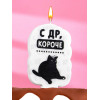 Свеча для торта «С др, короче», 6.5 см, белая Страна Карнавалия