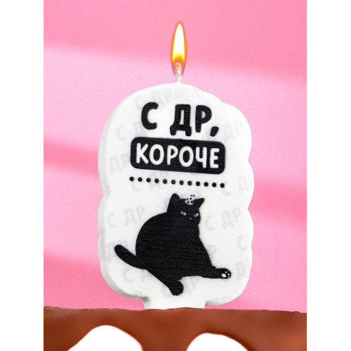 Свеча для торта «С др, короче», 6.5 см, белая Страна Карнавалия