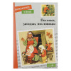 Книжка "Внеклассное чтение", мягкий переплет, 13,8х21см, 60-80 стр., 5 дизайнов (производитель не указан)
