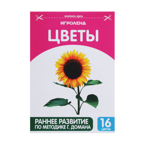 ИГРОЛЕНД Книжка обучающая по методике Г. Домана, бумага, 12х17см, 16 дизайнов ИГРОЛЕНД