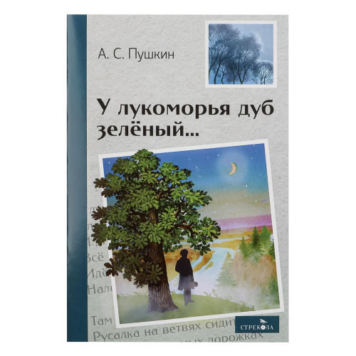 Книжка "Внеклассное чтение", мягкий переплет, 13,8х21см, 60-80 стр., 5 дизайнов (производитель не указан)