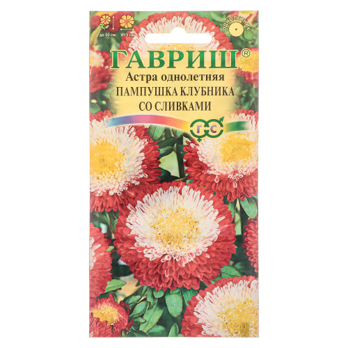 Семена Астра Пампушка клубника со сливками, однолетняя (помпонная) 0,3 г Гавриш