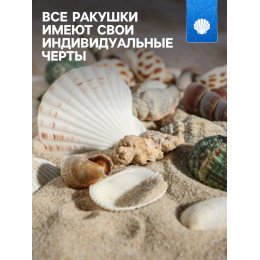 Набор ракушек Пижон Аква 100 г, микс №1
