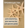 Набор из 5 морских звезд, размер каждой 3-5 см Пижон Аква