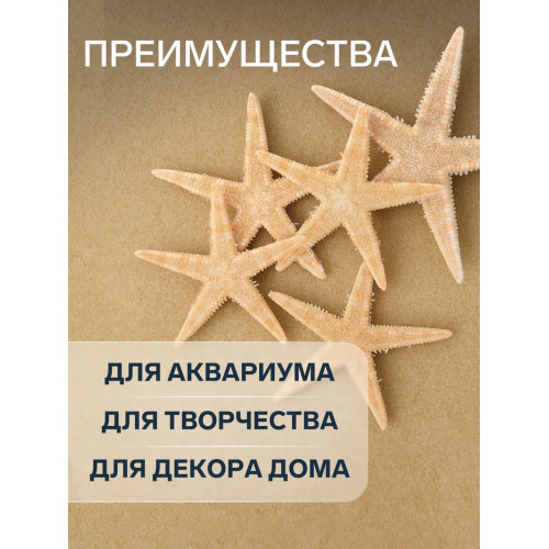 Набор из 5 морских звезд, размер каждой 3-5 см Пижон Аква