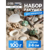 Набор ракушек Пижон Аква 100 г, микс №1 Пижон Аква
