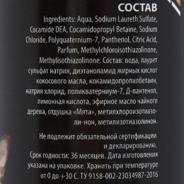 Шампунь-кондиционер «Пижон Premium» для кошек и собак, с маслом чайного дерева и мяты, 250 мл