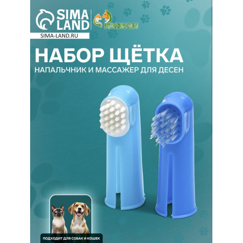 Набор щётка - напальчник и массажер для десен, микс цветов Пижон