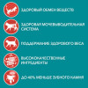 Влажный корм Purina One для стерилизованных кошек, курица/фасоль, 75 г Purina ONE