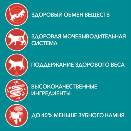 Влажный корм Purina One для стерилизованных кошек, курица/фасоль, 75 г Purina ONE
