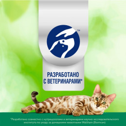 Влажный корм Perfect Fit иммунитет для кошек, говядина, лён, пауч, 75 г