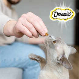Лакомство Dreamies для кошек, курица, 60 г