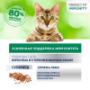 Влажный корм Perfect Fit иммунитет для кошек, говядина, лён, пауч, 75 г Perfect Fit