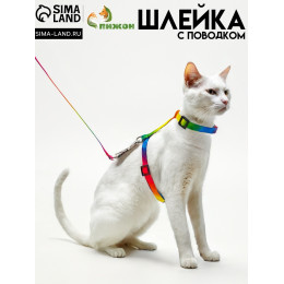 Комплект для кошек «Радуга», ширина 1 см, ОШ 16.5-27, ОГ 21-35 см, поводок 120 см