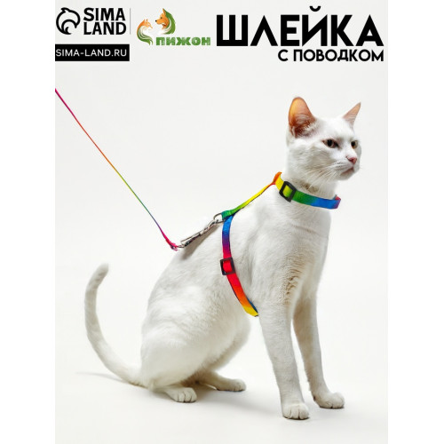 Комплект для кошек «Радуга», ширина 1 см, ОШ 16.5-27, ОГ 21-35 см, поводок 120 см Пижон