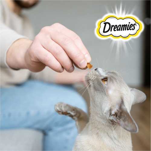 Лакомство Dreamies для кошек, курица и кошачья мята, 60 г Dreamies