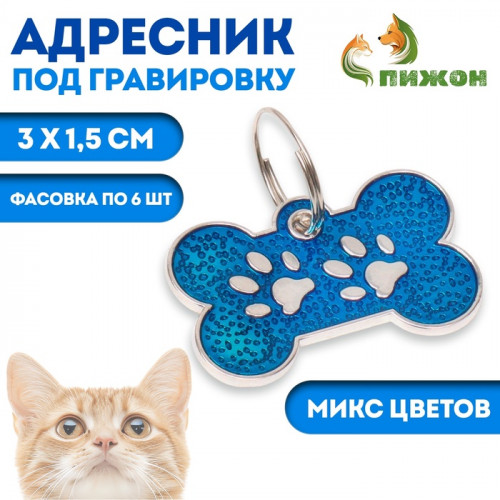 Адресник под гравировку «Косточка с лапками», 3×1.5 см, фасовка по 6 шт., микс цветов Пижон