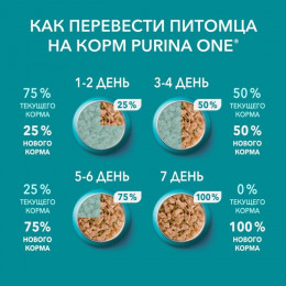 Влажный корм Purina One для домашних кошек, курица/морковь, 75 г