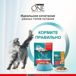 Влажный корм Purina One для стерилизованных кошек, курица/фасоль, 75 г