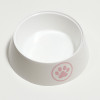 Миска для кошек «Лекси» 0.3 л, 14.5×14.5×4 см, белая ZOO PLAST