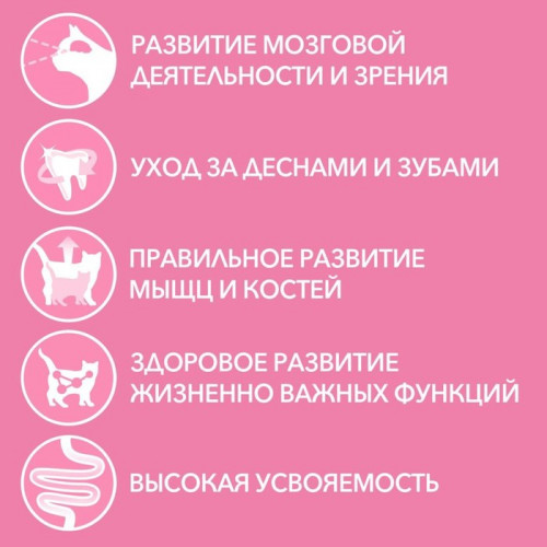Влажный корм Purina One для котят, курица/морковь, 75 г Purina ONE