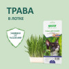 Трава TiTBiT для кошек, ячмень, 50 г TiTBiT