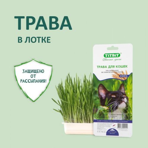 Трава TiTBiT для кошек, ячмень, 50 г TiTBiT