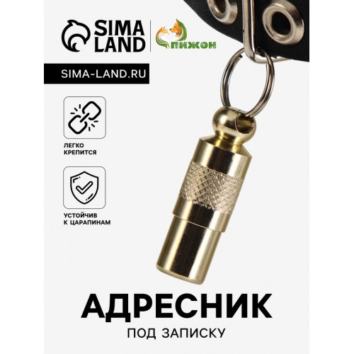 Адресник-капсула под записку, 0.9 х 2.75 см, фасовка 6 шт, микс Пижон