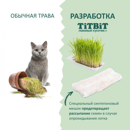 Трава TiTBiT для кошек, ячмень, 50 г TiTBiT