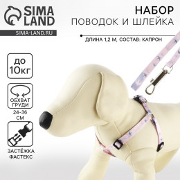 Поводок «Ласточки» 120×1 см, шлейка 24-36 см