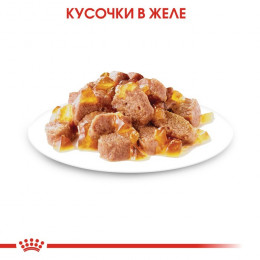 Влажный корм RC Sterilised для стерилизованных кошек, в желе, пауч, 85 г