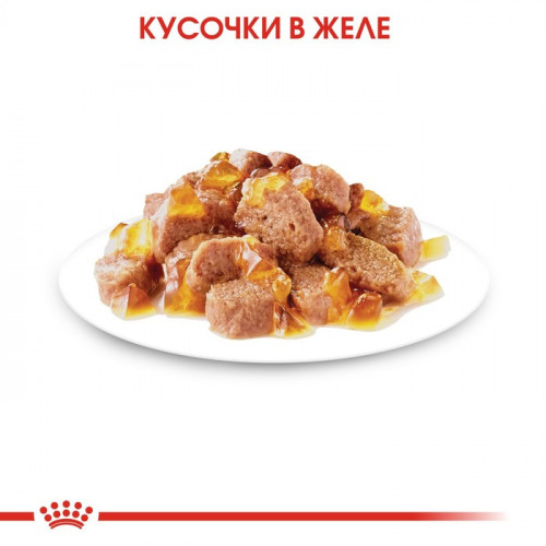 Влажный корм RC Sterilised для стерилизованных кошек, в желе, пауч, 85 г Royal Canin