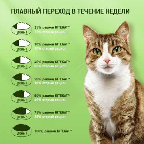 Влажный корм KiteKat для кошек, говядина в соусе, пауч, 85 г Kitekat