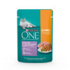 Влажный корм Purinа One для кошек, курица/морковь, 75 г Purina