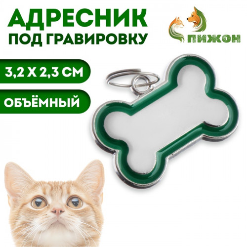 Адресник под гравировку «Косточка» объёмная, 3.2×2.3 см, зелёный Пижон