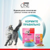 Влажный корм Purina One для котят, курица/морковь, 75 г Purina ONE