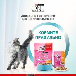 Влажный корм Purina One для котят, курица/морковь, 75 г