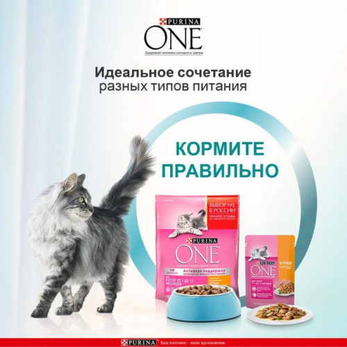 Влажный корм Purina One для котят, курица/морковь, 75 г Purina ONE