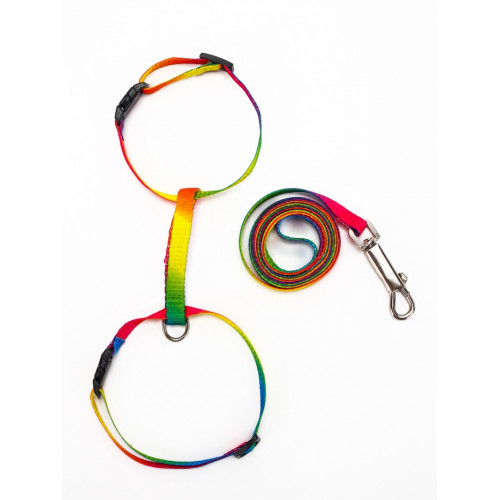 Комплект для кошек «Радуга», ширина 1 см, ОШ 16.5-27, ОГ 21-35 см, поводок 120 см Пижон