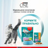 Влажный корм Purinа One для кошек, курица/морковь, 75 г Purina