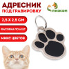 Адресник под гравировку «Лапа», фасовка по 6 шт., 2.5×2.5 см, микс цветов Пижон