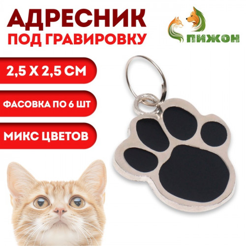 Адресник под гравировку «Лапа», фасовка по 6 шт., 2.5×2.5 см, микс цветов Пижон