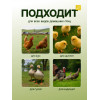 Кормушка для домашней птицы на 1.5 кг, пластик, Greengo Greengo