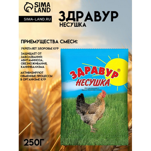 Премикс Здравур «Несушка» для кур и домашней птицы, минеральная добавка, 250 г Здравур