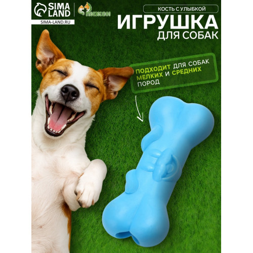 Игрушка жевательная «Кость с улыбкой», TPR, 9 см, голубая Пижон