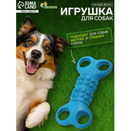 Игрушка жевательная «Лучше всех!», TPR, 12 см, голубая